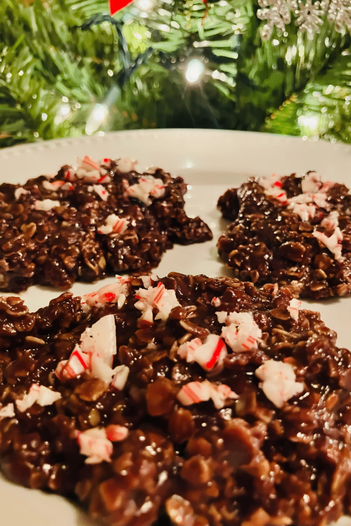 easy no-bake cookie recipe